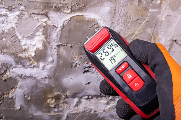 Best Black Mold Removal  in Mans, CO