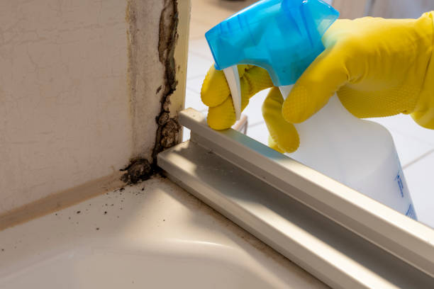 Best Emergency Mold Removal  in Mans, CO