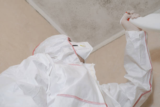 Best Affordable Mold Removal  in Mans, CO