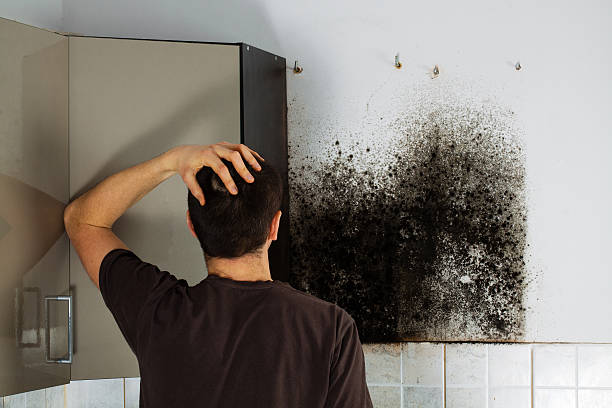 Best Certified Mold Removal  in Mans, CO